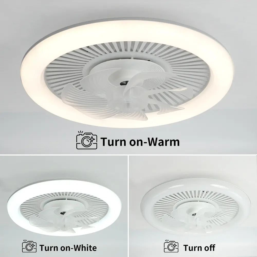48cm Ceiling Fan with Light and Remote Control, LED Ceiling Light, Silent DC Motor, 6-speed, Bedroom and Living Room Lamp