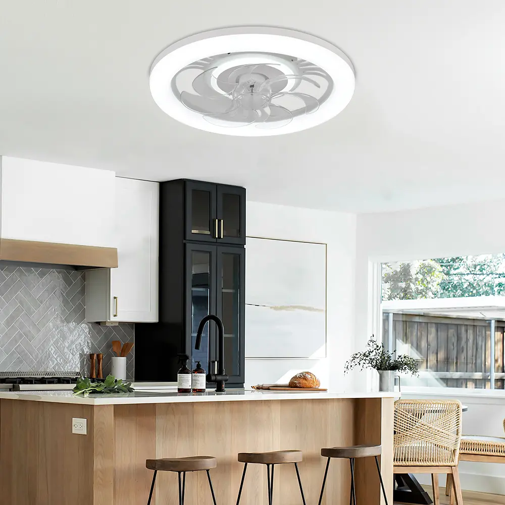 Modern LED Ceiling Fan Lights, Remote Control Adjustable Light Brightness, Living Room  Bedroom Fan Lights, Silent Lighting Fan