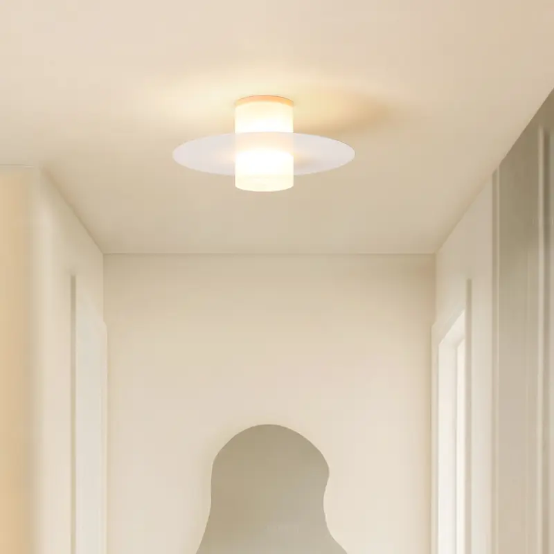 Modern LED Porch Ceiling Lamp Restaurant Hotel Shop Aisle Corridor Ceiling Chandelier Living Room Cloakroom Entrance Hall Light