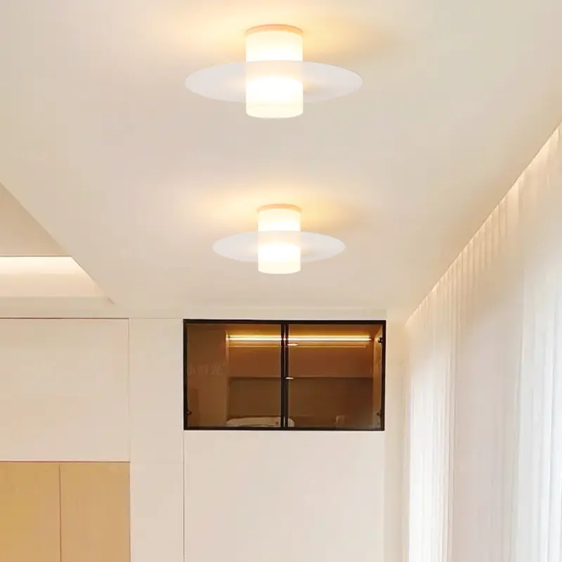 Modern LED Porch Ceiling Lamp Restaurant Hotel Shop Aisle Corridor Ceiling Chandelier Living Room Cloakroom Entrance Hall Light