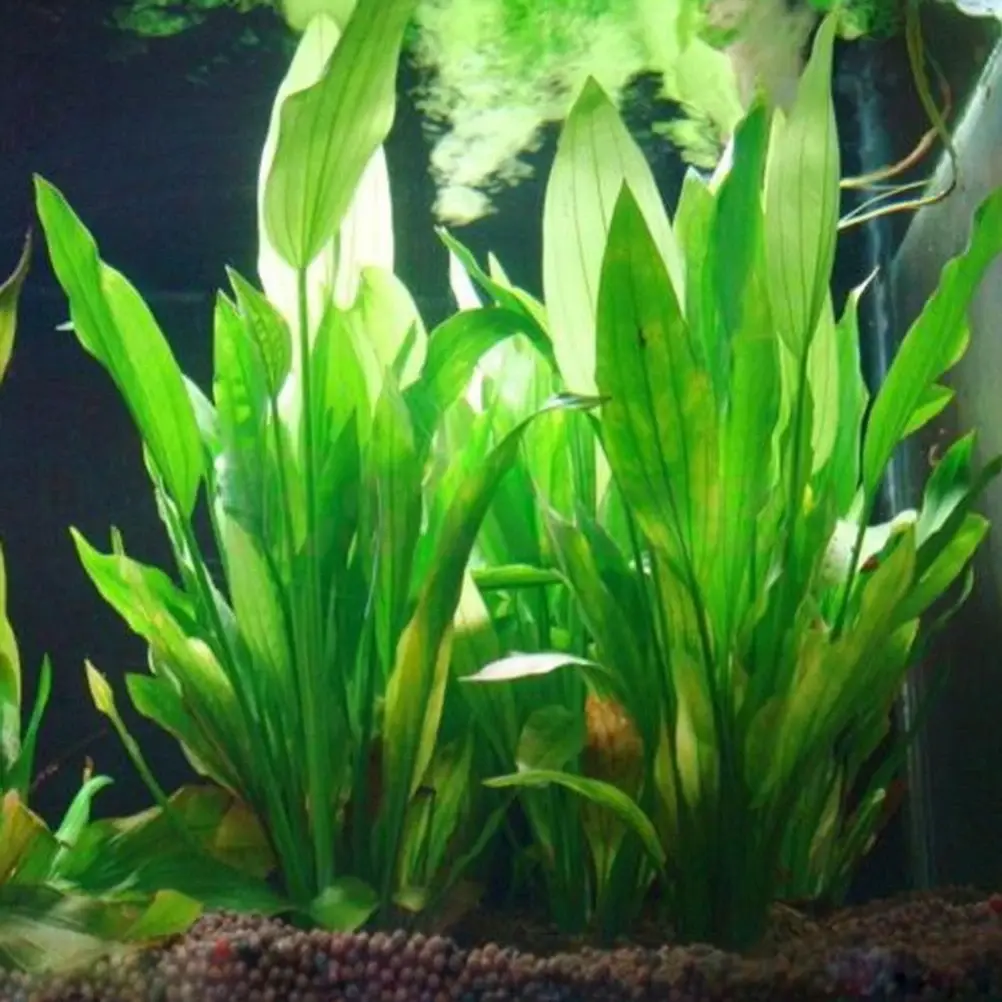 15cm Height Plastic Manmade Water Plant Grass Green For Aquarium Simulation Artificial Plants Decor Akvaryum Dekor