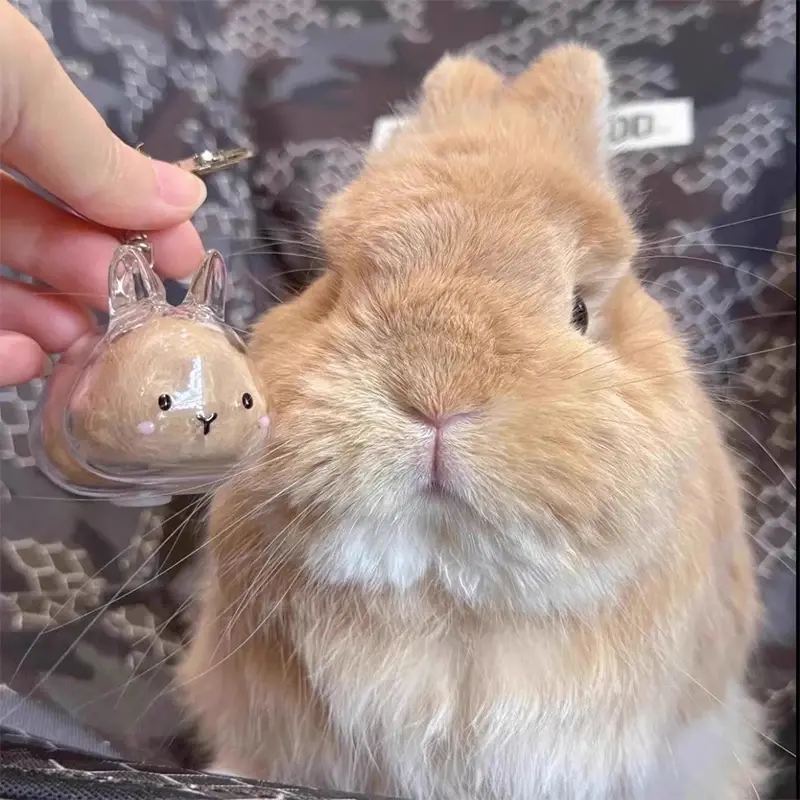 Rabbit Hair Storage Box Pendant Keychain Pet Hair Keepsake Box Pet Memorial Collection Box Bag Pendant DIY Decoration Gift