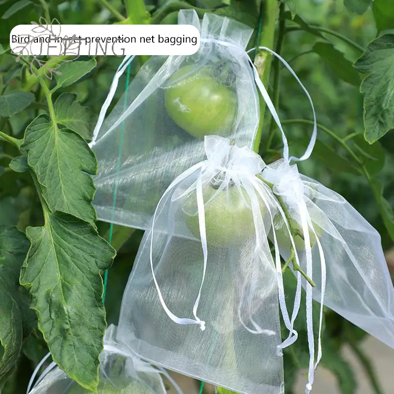 50Pcs Grapes Fruit Protection Bags Pest Control Anti-Bird Garden Netting Bags Mesh Agricultural Tree Garden Tool Bags