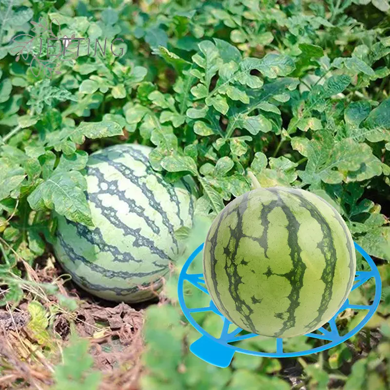 10Pcs Watermelon Stand Fruit Stand Support Basket Frame Vegetables Plant Tray Rack Melon Squash Pumpkin Protective Holder