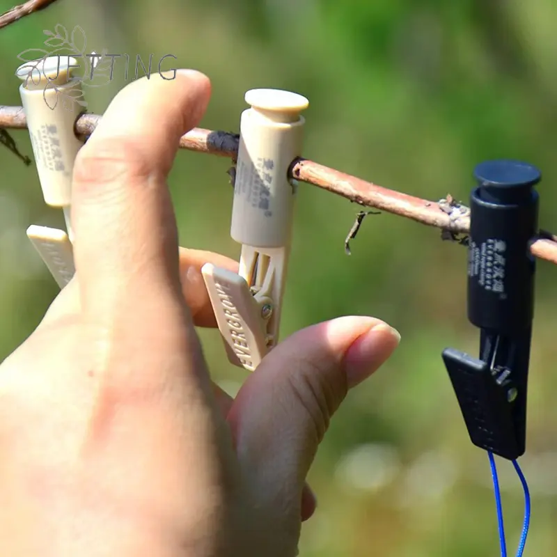 2/4/8Pcs Outdoor Clothesline Positioning Clip Underwear Socks Laundry Clothes Peg Clothespin Mini Camping Windproof Clip