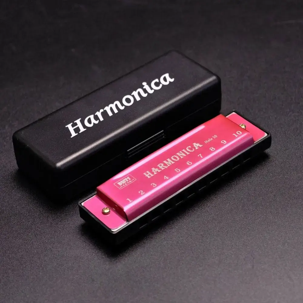 Portable Key of C 10 Hole Harmonica Metal with Box Mouth Organ Rectangle Beginner Teaching Diatonic Harmonica Students