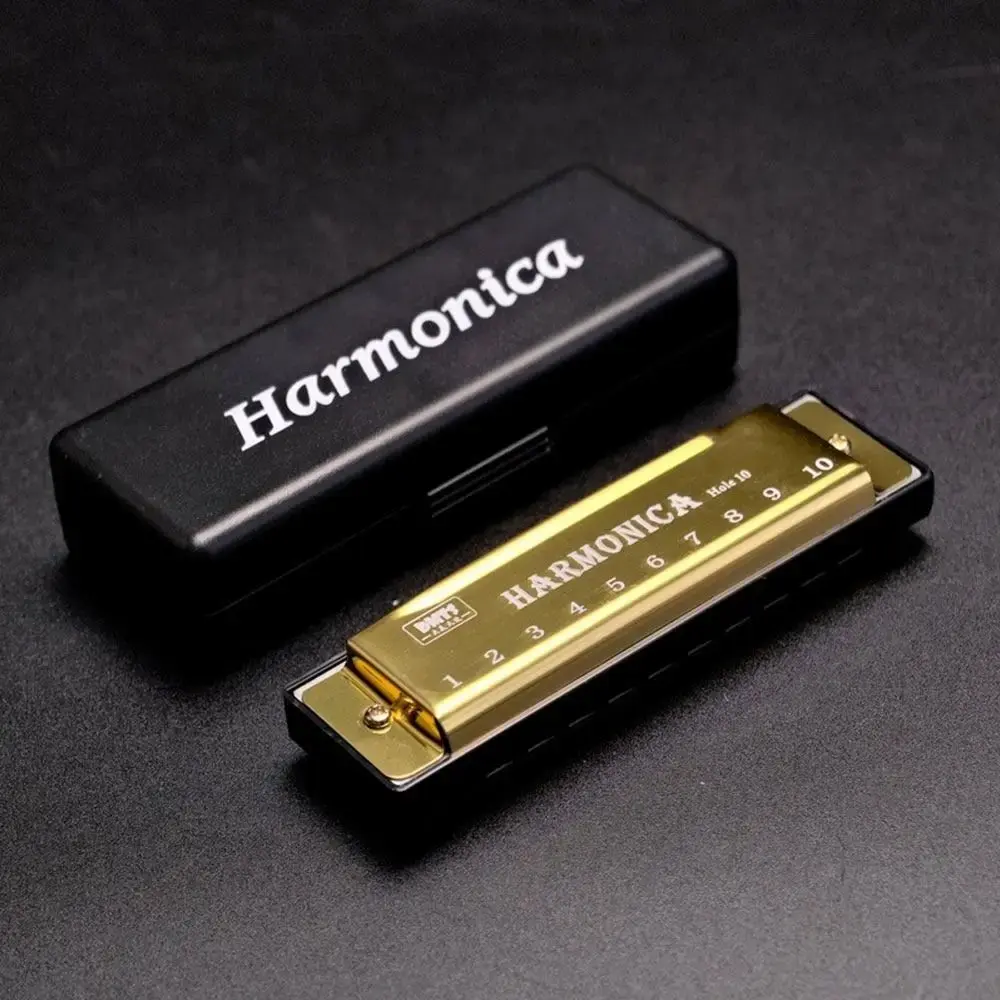 Portable Key of C 10 Hole Harmonica Metal with Box Mouth Organ Rectangle Beginner Teaching Diatonic Harmonica Students