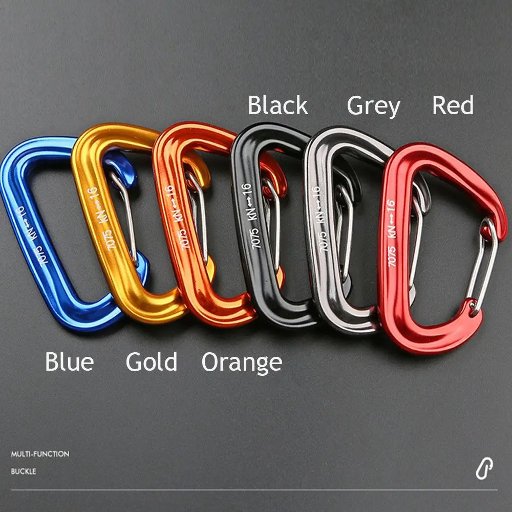 Professional Carabiner D Shape Mountaineering Buckle Hook 16KN Safety Buckle Climbing Lock Outdoor Climbing Equipment Accessory