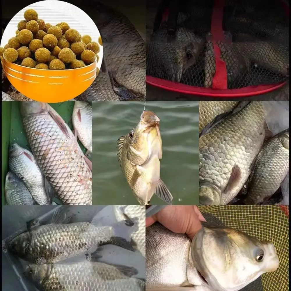 Granular Fish Attractants Concentrated Fish Bait for Carp Grass Carp Herring Snapper Tilapia Bighead Carp Wild Fishing Bait