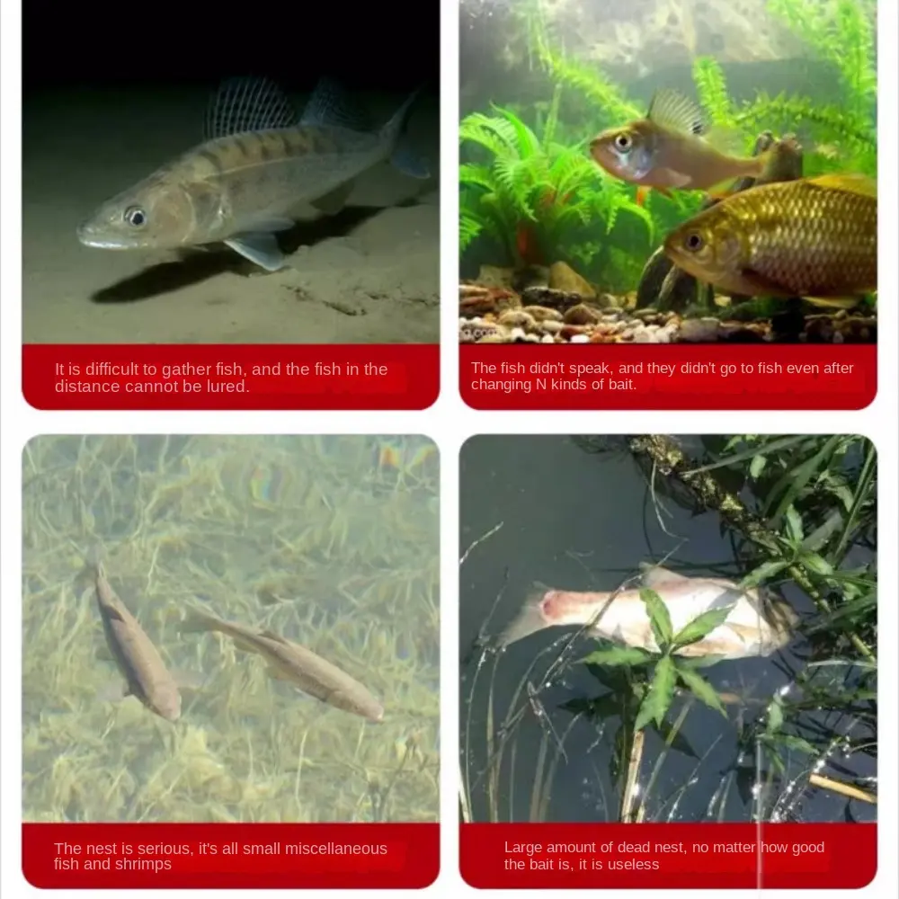 Granular Fish Attractants Concentrated Fish Bait for Carp Grass Carp Herring Snapper Tilapia Bighead Carp Wild Fishing Bait