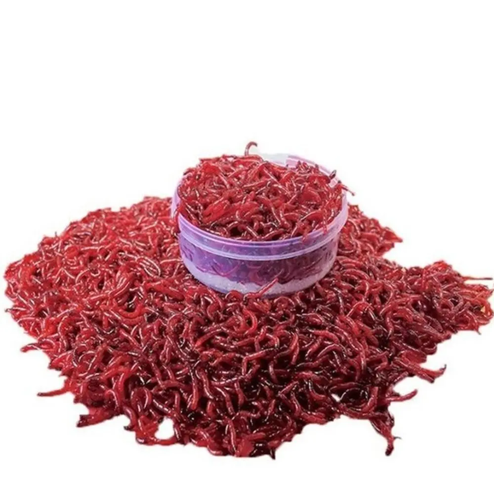 1Bag 50g Fishing Bloodworm Powder Fish Buster Carp Killer Fishing Natural Bait Boillie Blood Worm Flavor Additive Fishing Lure