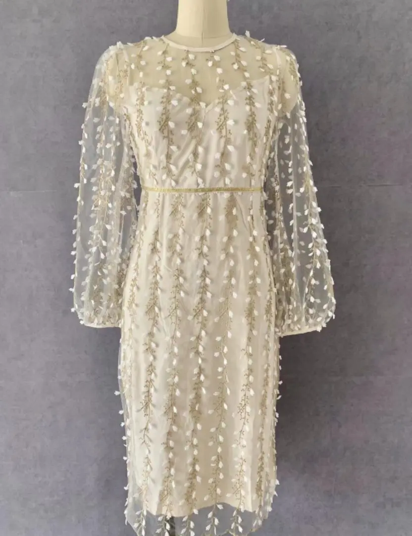 Women Elegant Fashion Long Dress Long Sleeve O Neck Slim Sheath Package Hip Ladylike Embroidered See-through Mesh Vestidos 2022