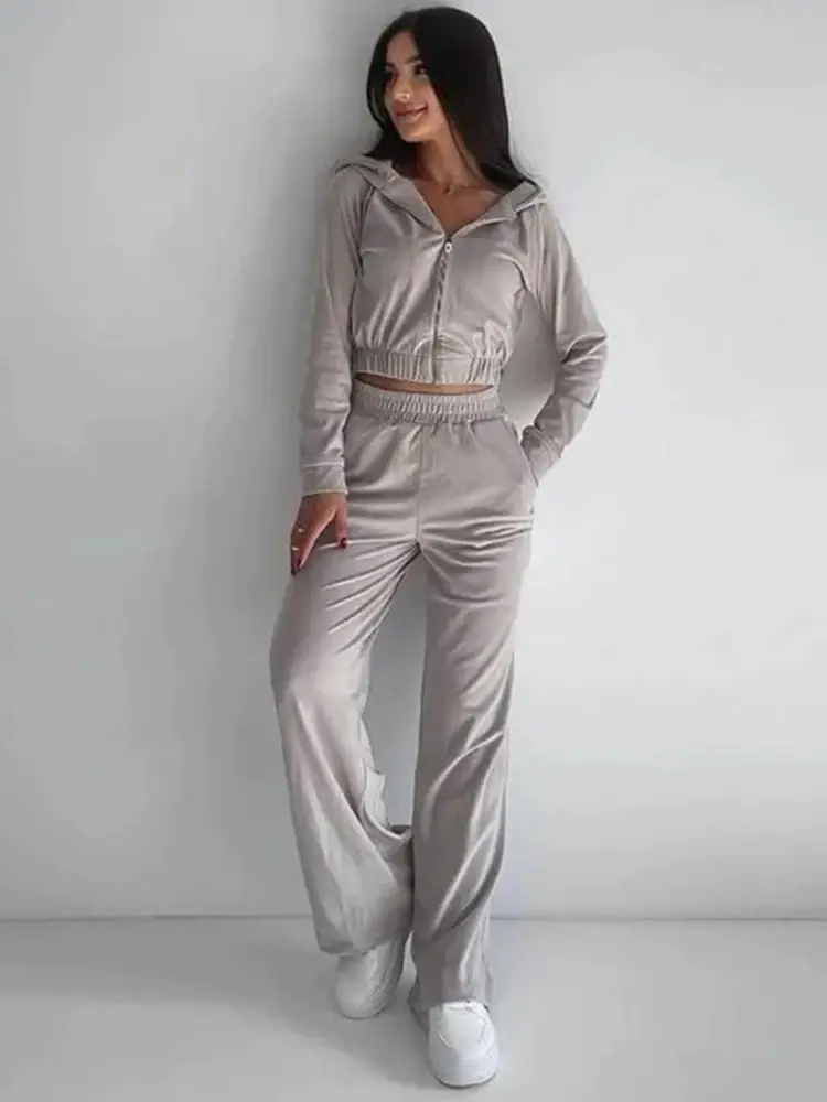 Autumn Solid Color Women's Silver Fox Velvet Suit Long Sleeve Hooded Cardigan Jacket Elastic Casual Pants Female Two Piece Set