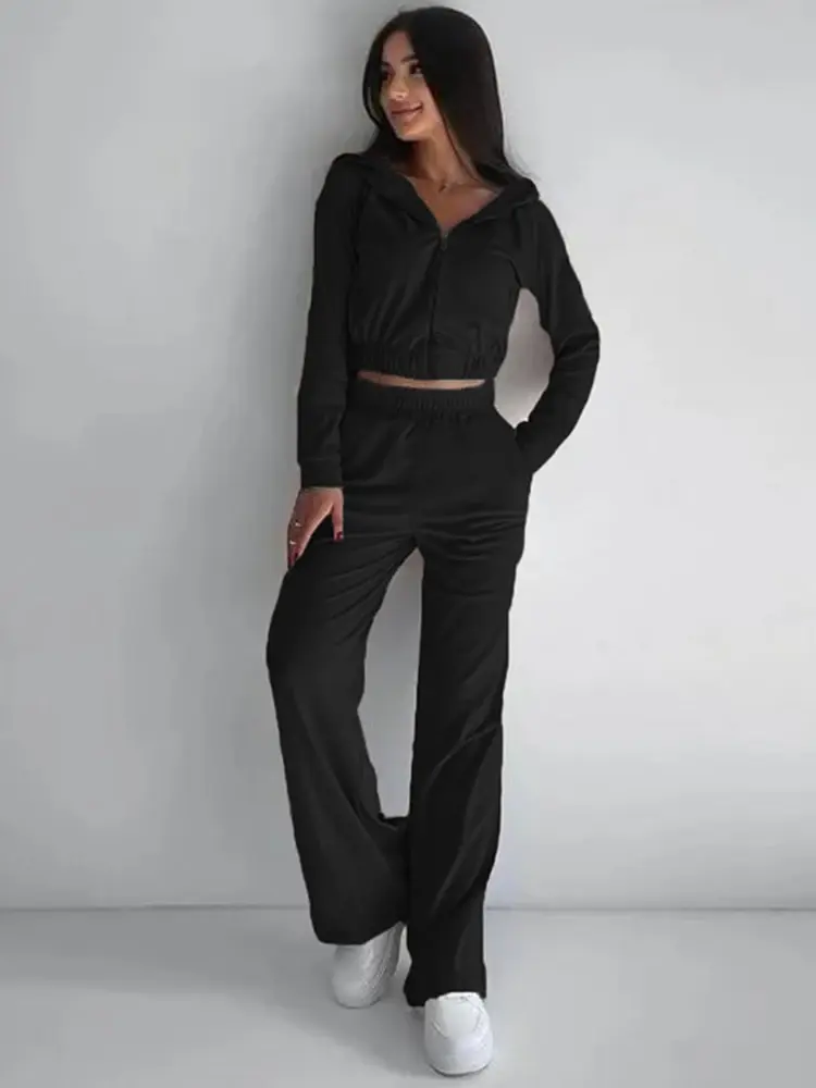 Autumn Solid Color Women's Silver Fox Velvet Suit Long Sleeve Hooded Cardigan Jacket Elastic Casual Pants Female Two Piece Set