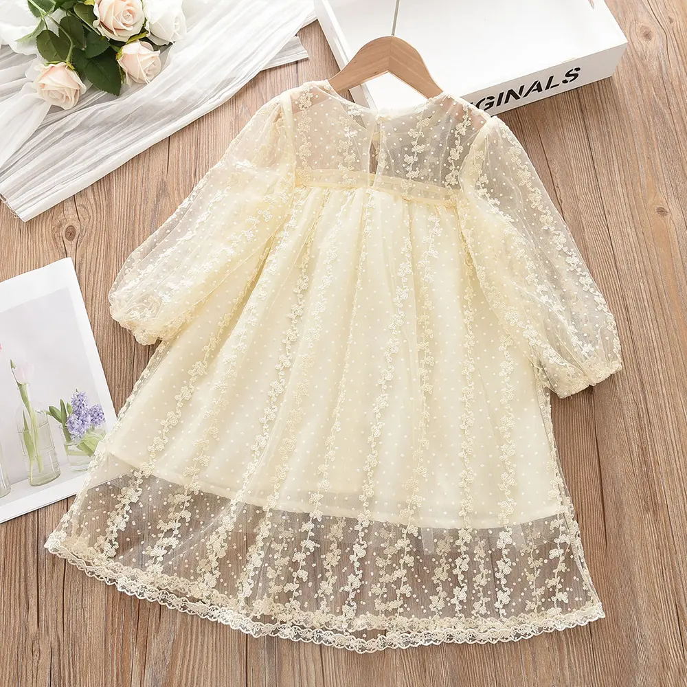 Bear Leader Lace Baby Girls Dress Long Sleeve Dresses Summer Weddings Kids Birthday Party Princess Dress Children Tulle Vestidos