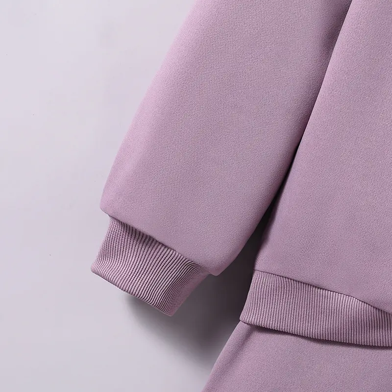 Girls New Designed Classic Comfortable Clothes Sets Teenager Spring Autumn Suit Purple Solid Color Long Sleeve Hoodie And Short