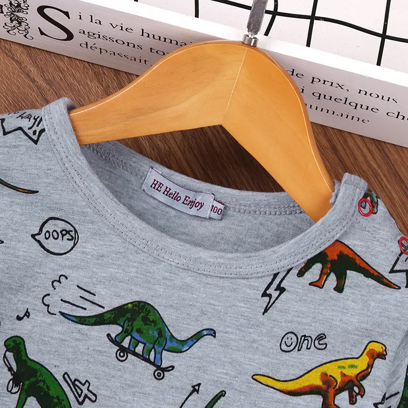 Boys' Grey Long Sleeve T-Shirt Base Layer Spring Fall Casual Everyday with Little Dinosaur Print Basic Simple Design