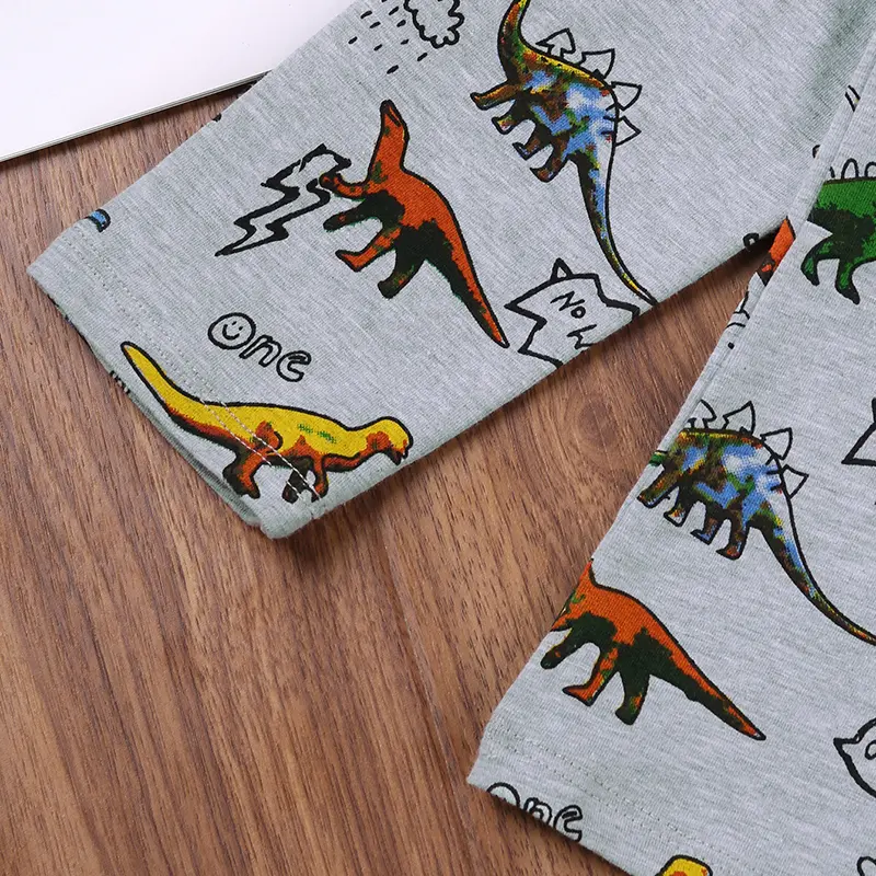 Boys' Grey Long Sleeve T-Shirt Base Layer Spring Fall Casual Everyday with Little Dinosaur Print Basic Simple Design