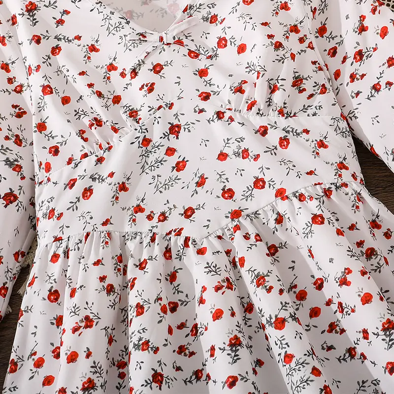 Spring/Summer sweet and cute baby floral long-sleeved long dress elegant ditsy v-neck bow detail on front bust Spring/Summer pri