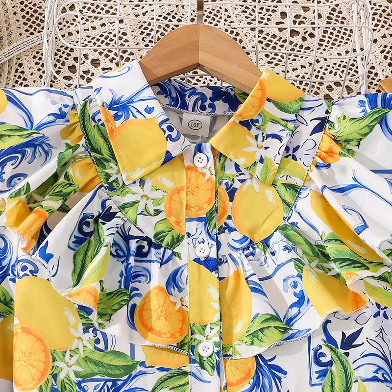 Big Kids Fresh and Cute Fruit Print Dress Shirt Collar Lace Long Sleeve Cake Dress Spring/Summer Chic Casual Princess Party