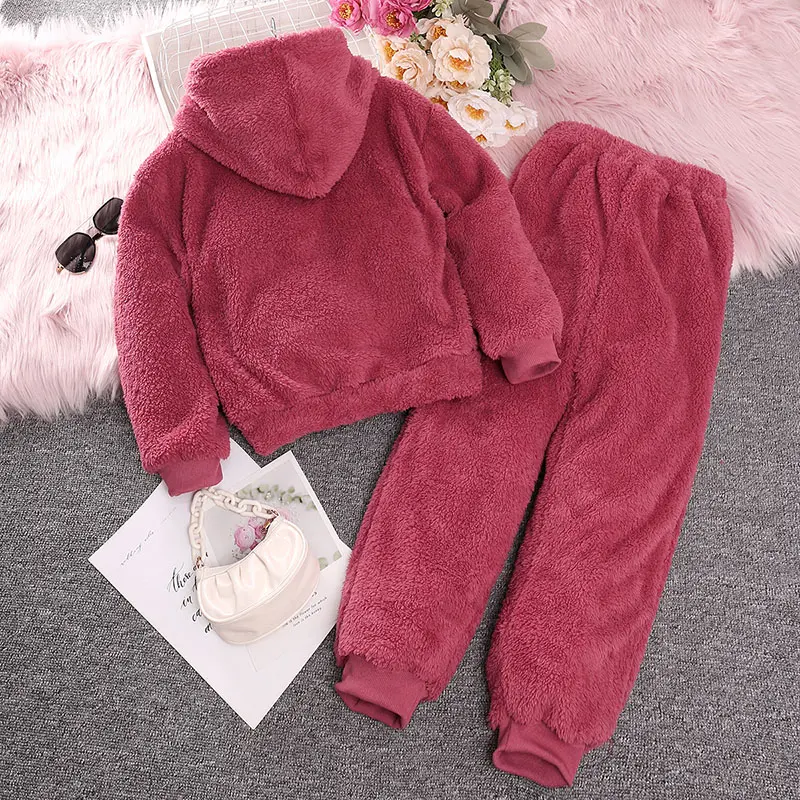 Winter Autumn Girls Suit Pink Coral Velvet Hoodie & Coral Velvet Pants Long Sleeves Loose Comfortable Daily Causal Kids Outfit