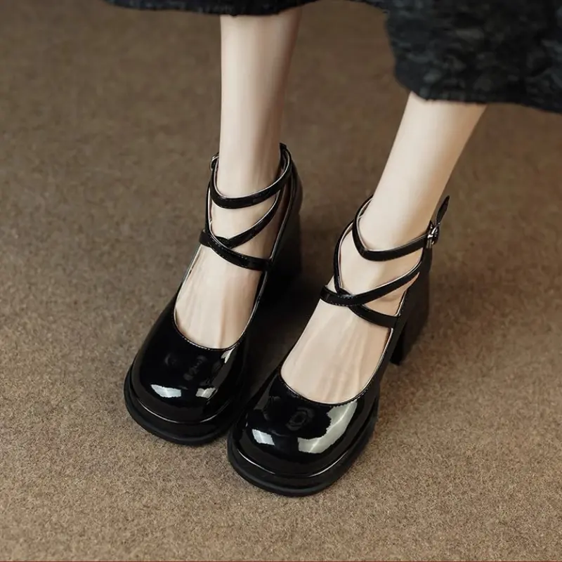 Women's Mary Jane Shoes 2025 Spring Autumn Women High Heel Shoes Fashion Elegant Versatile Platform Ladies Dresses Leather Shoes