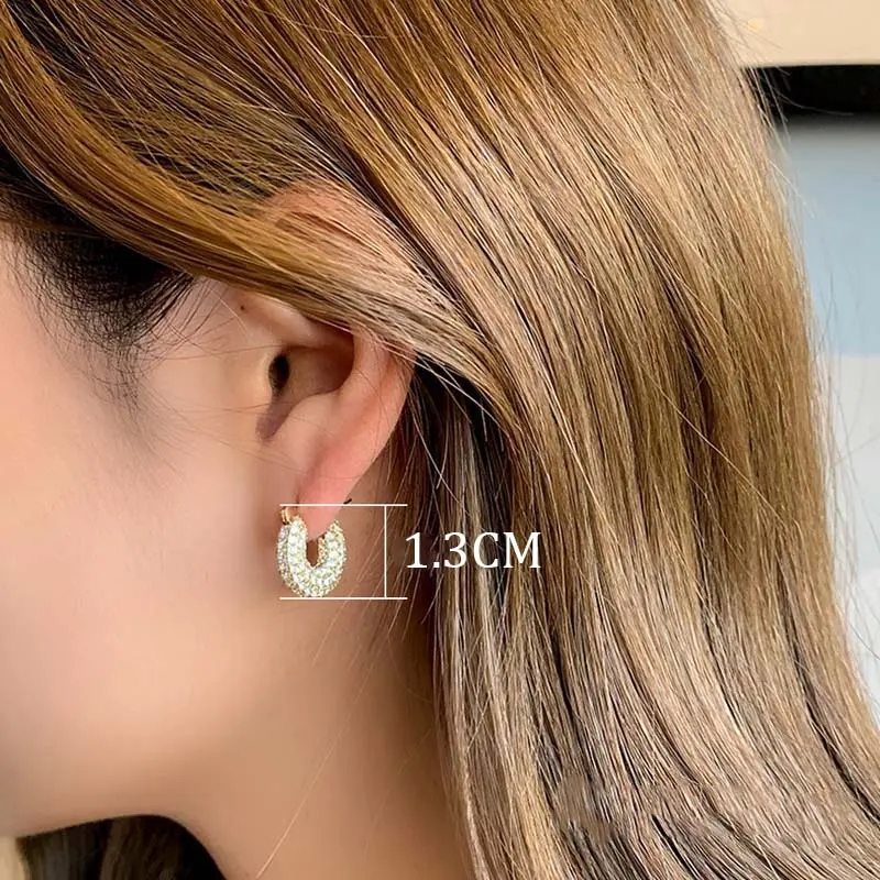 Stainless Steel Gold Color Large Round Hoop Earrings for Women Exquisite Shiny Zircon Circle Huggie Chunky Earring Jewelry Gifts