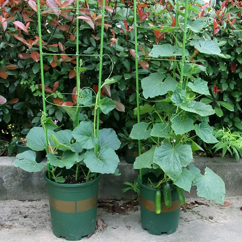 45cm Climbing Vine Rack Plant Potted Support Frame Plastic Coated Steel Flower Vegetables Decorative Trellis Bracket 1Pc