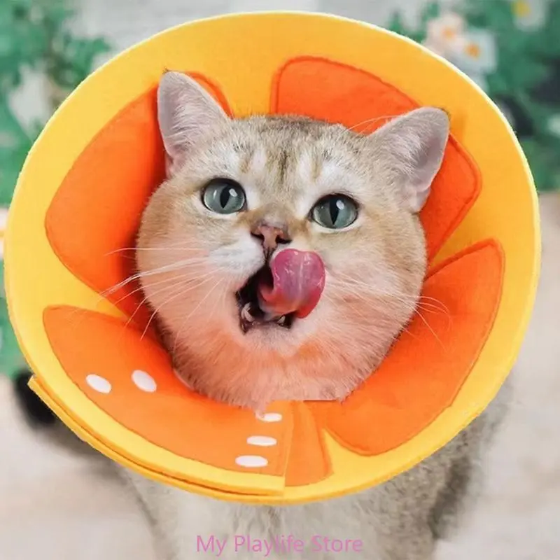 Gentle and Versatile Recovery Cone Collar for Small Dogs Puppies and Cats in Need of Comfortable Rest and Fast Healing
