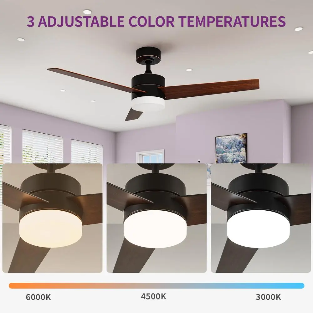 Modern Ceiling Fan with LED Light Remote Control Reversible DC Motor 3 Blades Quiet Easy to Install Energy Efficient Living Room