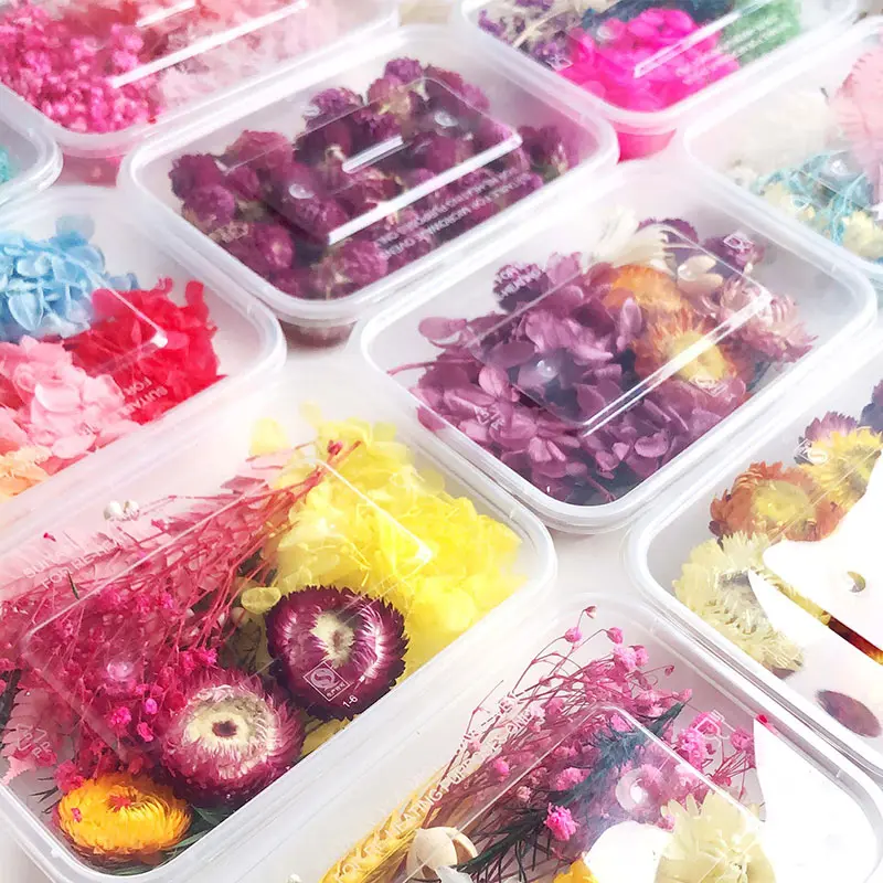 New 1Box Real Dried Flower Dry Plants For Aromatherapy Candle Epoxy Resin Pendant Necklace Jewelry DIY Making Crafts Accessories