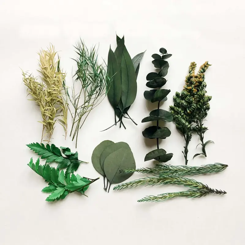 New 1Box Real Dried Flower Dry Plants For Aromatherapy Candle Epoxy Resin Pendant Necklace Jewelry DIY Making Crafts Accessories