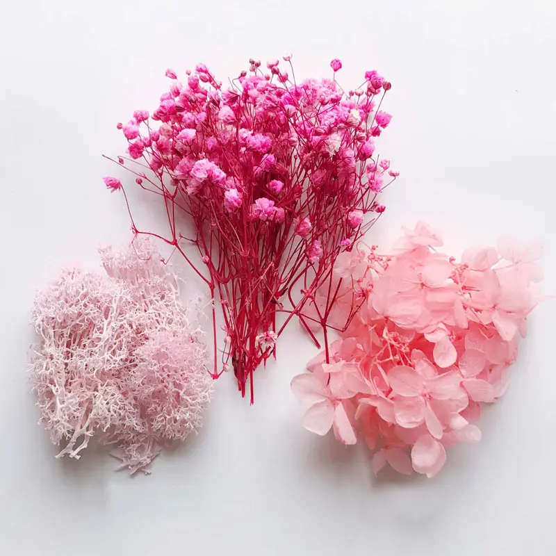 New 1Box Real Dried Flower Dry Plants For Aromatherapy Candle Epoxy Resin Pendant Necklace Jewelry DIY Making Crafts Accessories