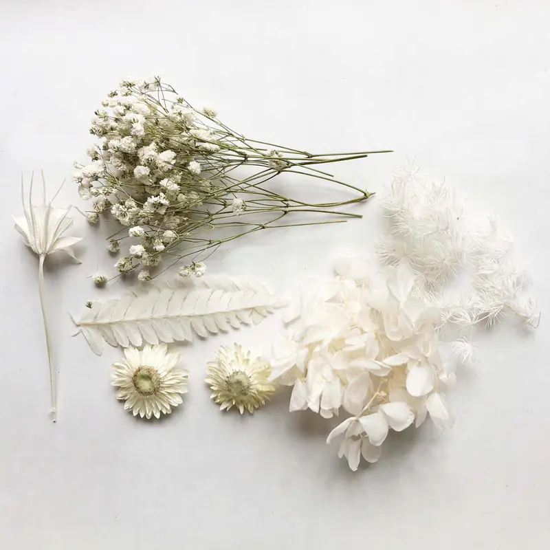 New 1Box Real Dried Flower Dry Plants For Aromatherapy Candle Epoxy Resin Pendant Necklace Jewelry DIY Making Crafts Accessories