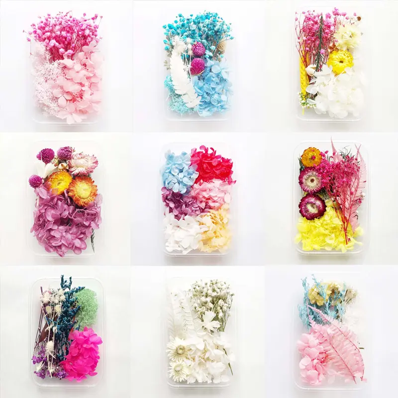 New 1Box Real Dried Flower Dry Plants For Aromatherapy Candle Epoxy Resin Pendant Necklace Jewelry DIY Making Crafts Accessories