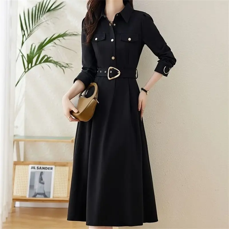 Spring Autumn Dresses Women's 2025 New Long Sleeve Temperament Female Dress Elegant Mid Long Dresses  Ladies Vestidos
