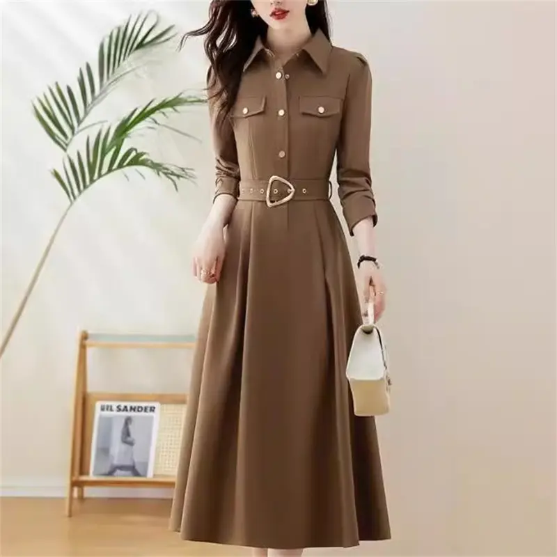 Spring Autumn Dresses Women's 2025 New Long Sleeve Temperament Female Dress Elegant Mid Long Dresses  Ladies Vestidos