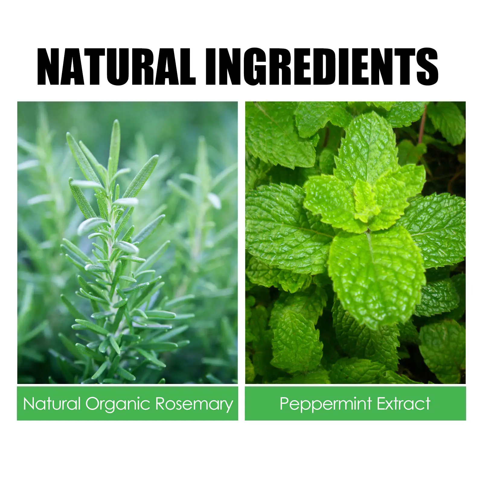 EELHOE Rosemary Repair Damaged Hair Mask Scalp Treatment Improve Frizzy Dryness Smoothing Straightening Cream Hair Care Products