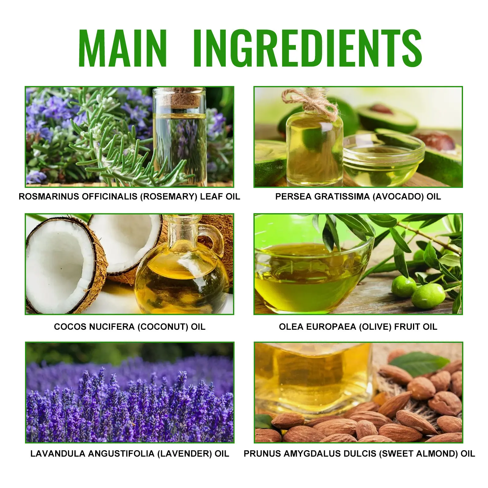Hair Growth Treatment Protect Moisturize Scalp Improve Hair Quality Natural Hair Nutrient Solution For Men Women Hair Root Spray
