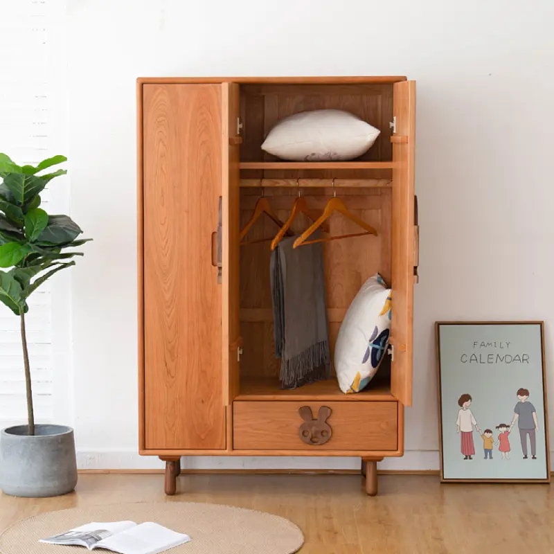 Luxury Orgnizer Wardrobes Wood Drawers Aesthetic Stylish Living Room Wardrobes Bedroom Storage Guarda Roupa Furniture Home