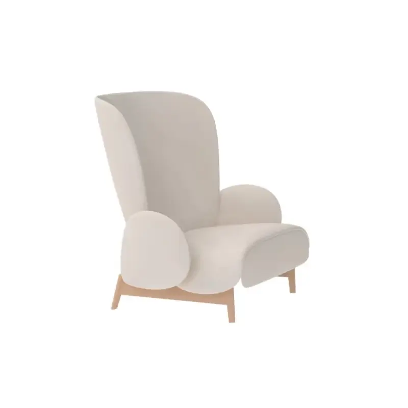 Minimalist Lounge Living Room Chairs Recliner Modern Relaxing Comfortable Chair Hotel Balcony Muebles De Sala Home Decorations