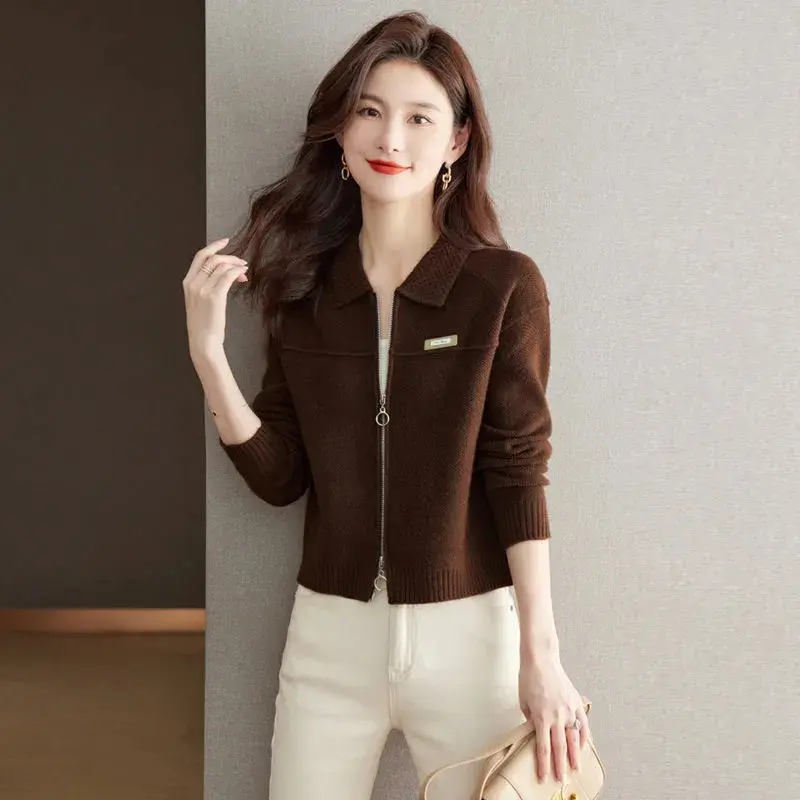 Spring Autumn Cardigan Sweater Jacket Women 2025 New Fashion Loose Zipper Knitted Sweater Coat Female Casual Outerwear Lady Tops