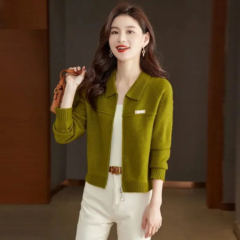 Spring Autumn Cardigan Sweater Jacket Women 2025 New Fashion Loose Zipper Knitted Sweater Coat Female Casual Outerwear Lady Tops