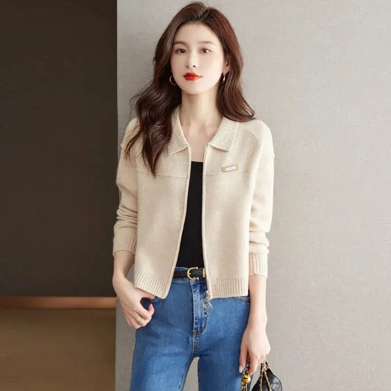 Spring Autumn Cardigan Sweater Jacket Women 2025 New Fashion Loose Zipper Knitted Sweater Coat Female Casual Outerwear Lady Tops