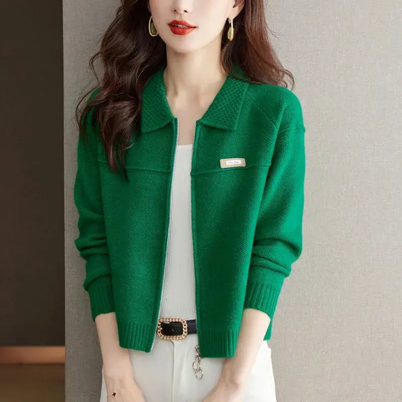 Spring Autumn Cardigan Sweater Jacket Women 2025 New Fashion Loose Zipper Knitted Sweater Coat Female Casual Outerwear Lady Tops