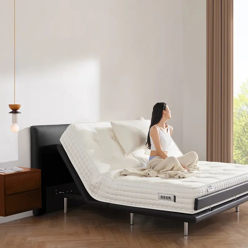 Electric Lift Up Double Bed Modern Luxury Design Multifunctional Adults Loft Bed Space Saving Letto Matrimoniale Home Furniture