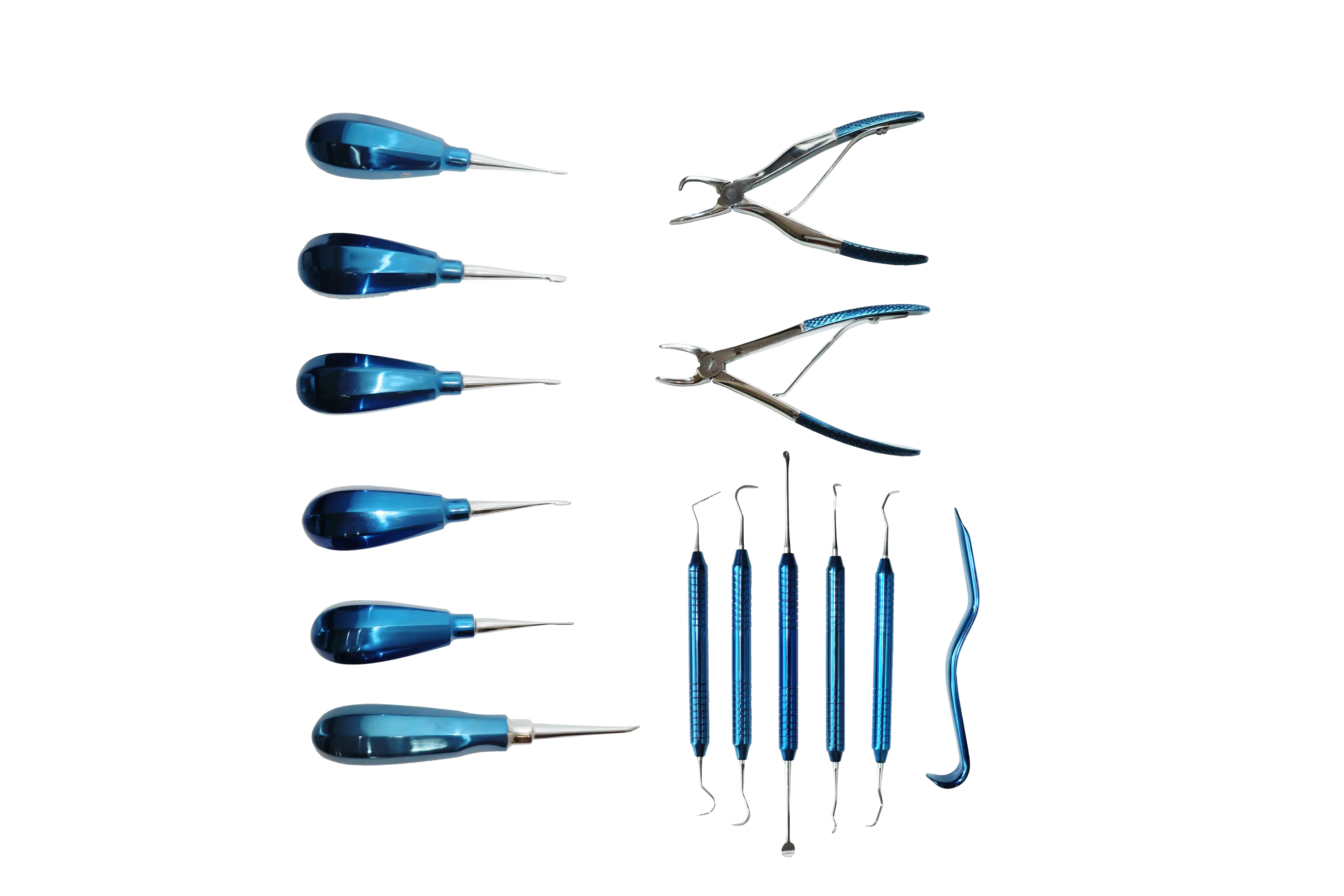 High Quality 14-Piece Deep Blue Veterinary Dental Surgical Instrument Set For Pet Clinics Made Steel Metal