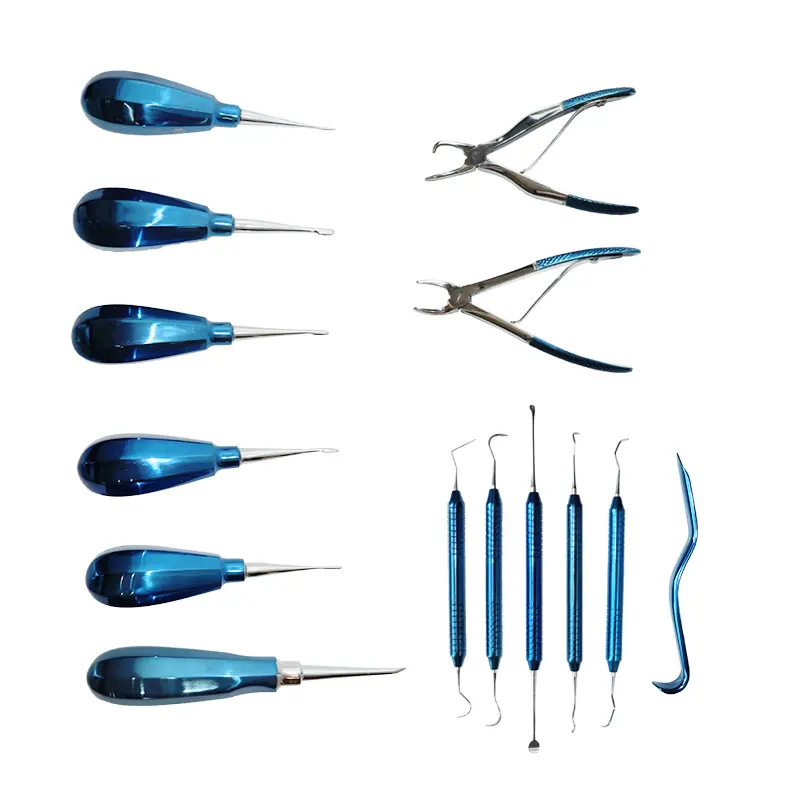 High Quality 14-Piece Deep Blue Veterinary Dental Surgical Instrument Set For Pet Clinics Made Steel Metal