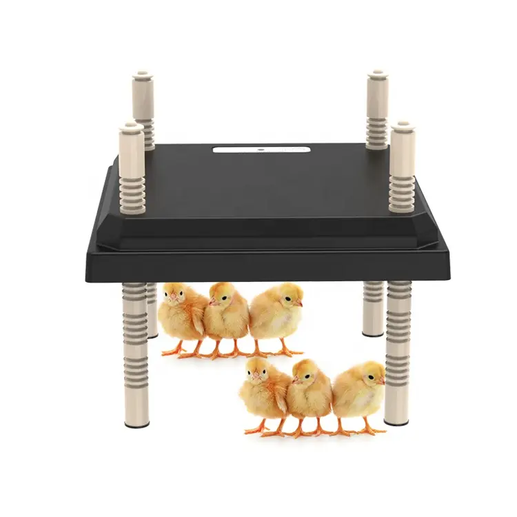 New Chick Electric Heat Plate Pet Brooder
