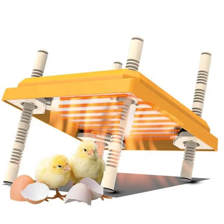 New Chick Electric Heat Plate Pet Brooder